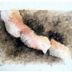 Vertebrae, 1985. Medium: Lithograph. Size: 22 x 30 in. (55.9 x 76.2 cm.)