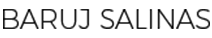 baruj-salinas-logo